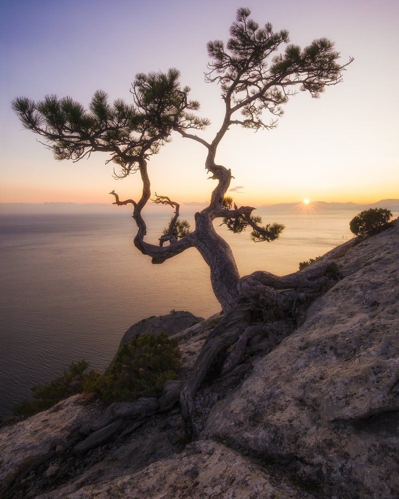 Photograph by Евгений Никоненко