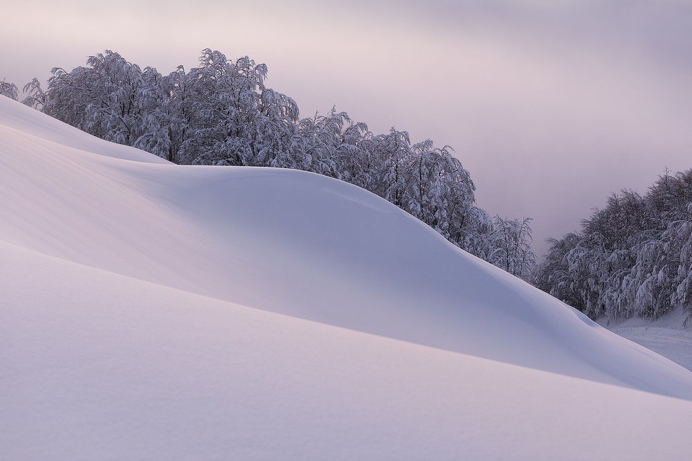 Photograph by Davide Giannetti