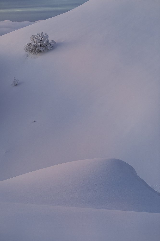 Photograph by Davide Giannetti