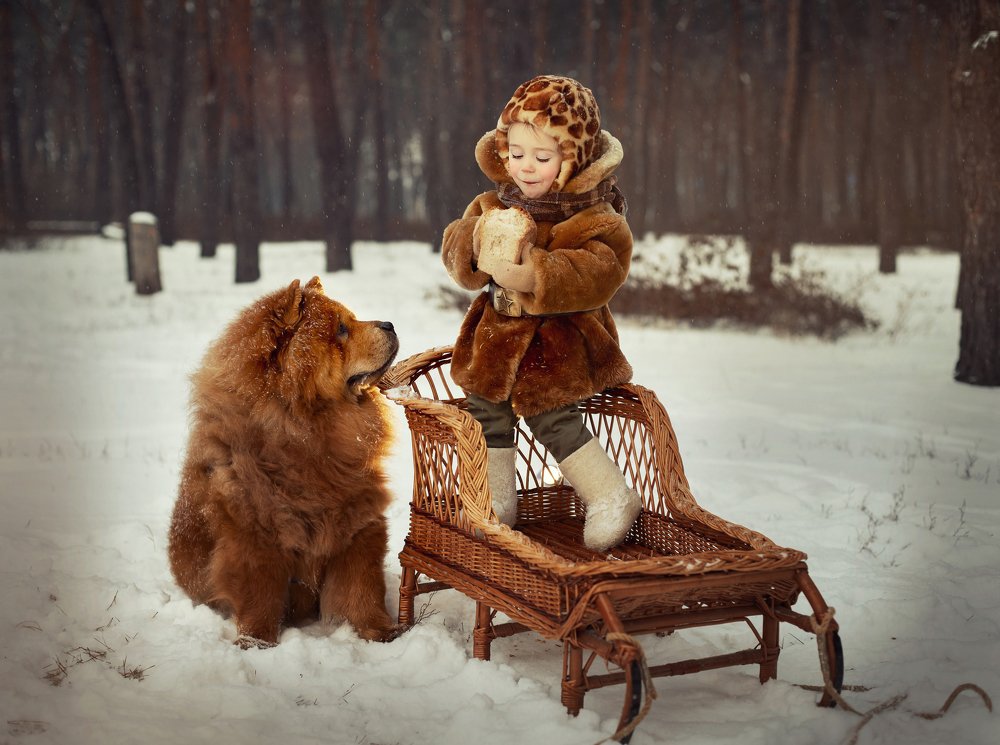 Фотография автора Катерина Лебедева