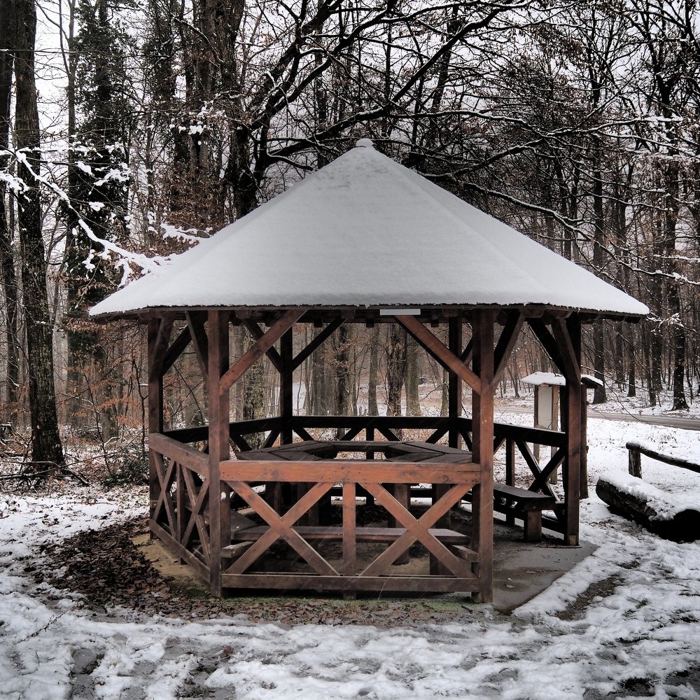 Фотография автора Kiss Gabor