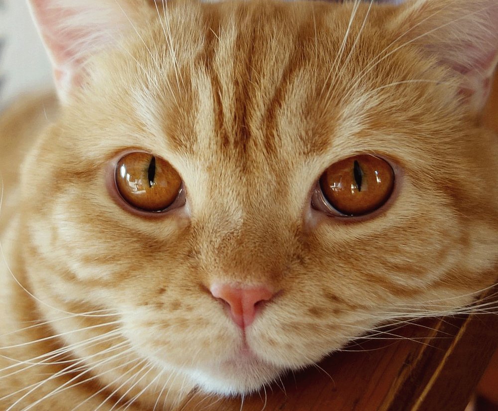 Фотография автора Валентина Гундарева