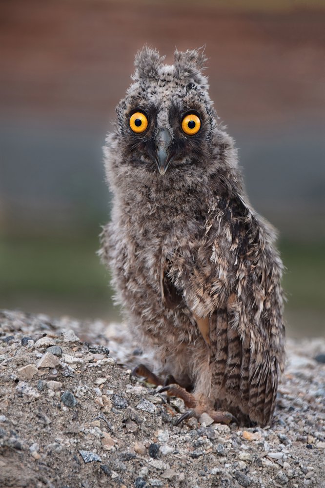 Photograph by Марина Хаева