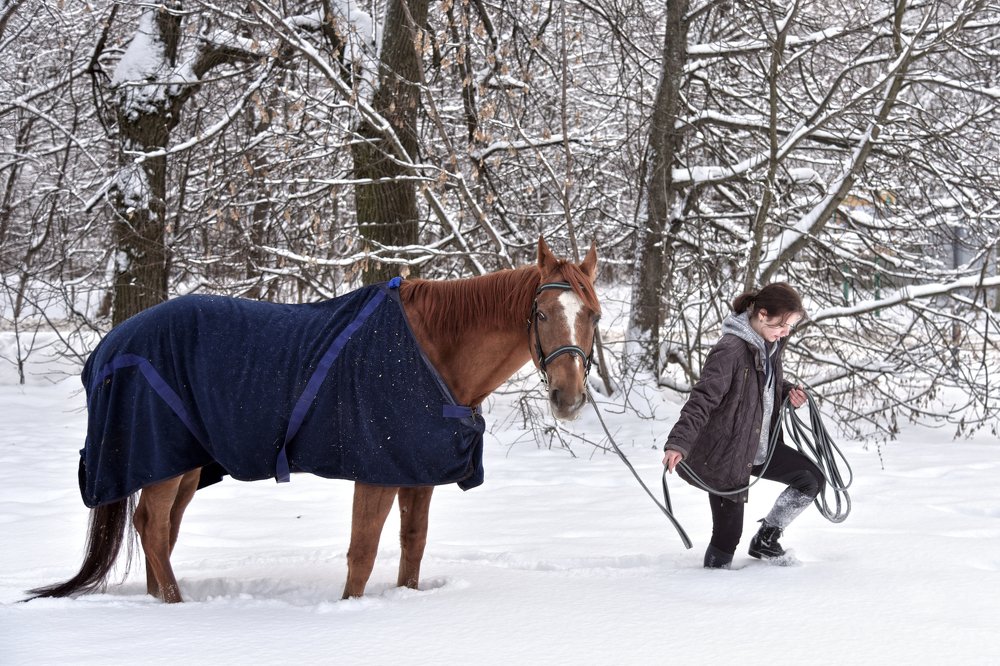 Photograph by Коротков Алексей