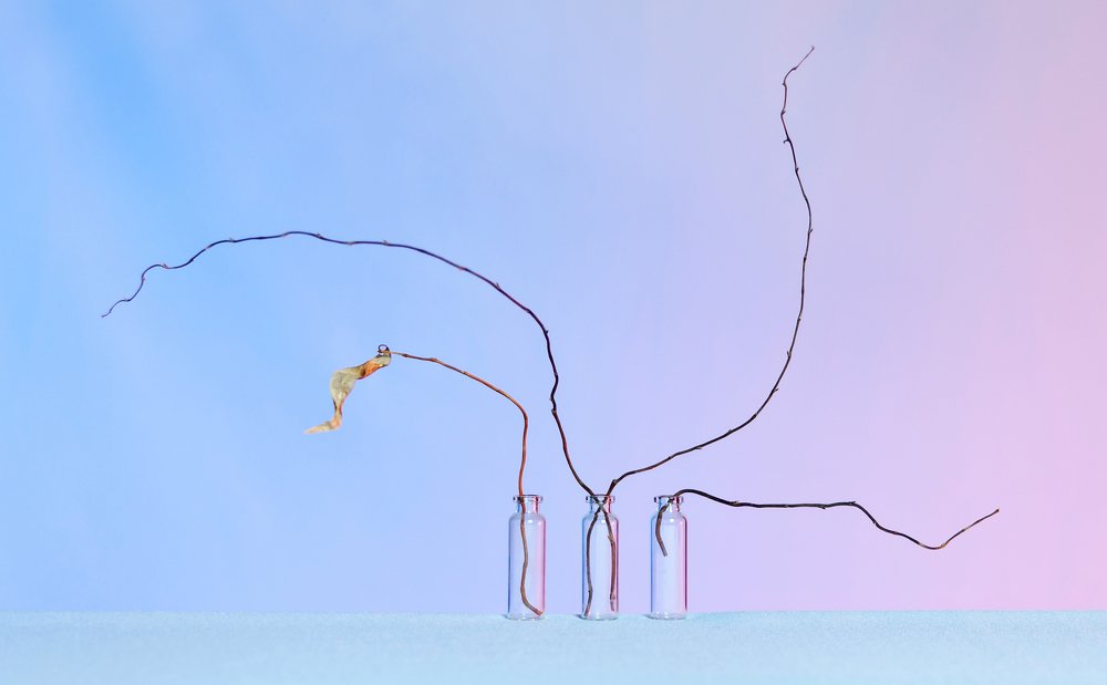 Photograph by Данил Мандрыгин