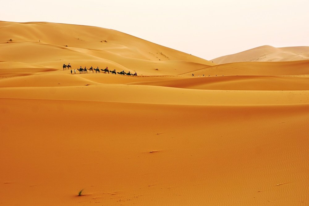 Photograph by Tatyana