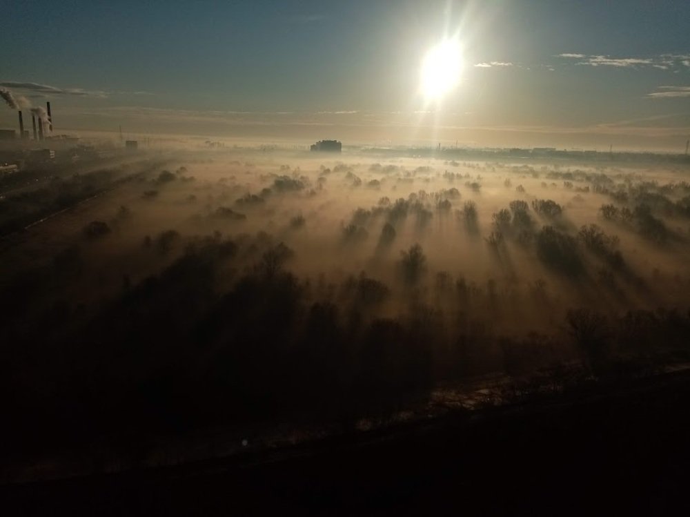 Foggy morning in the Natural Park of Văcăreşti
