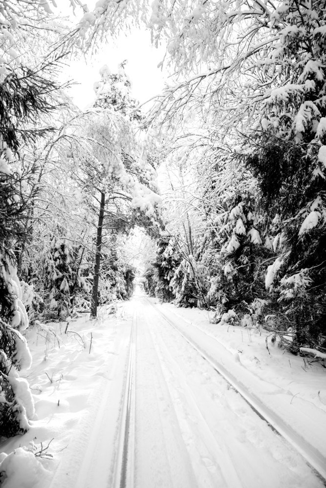 Фотография автора Геннадий Коробов