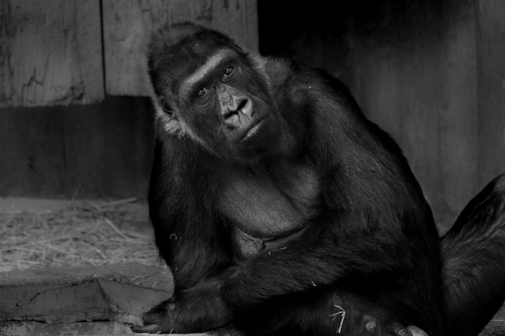 Photograph by Edina Muhari