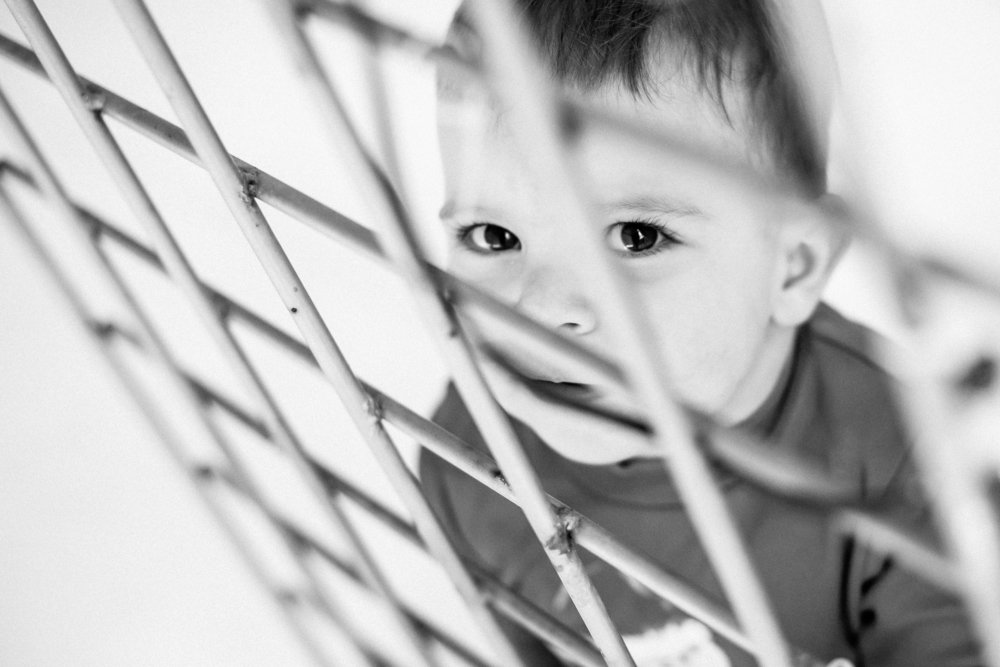 Photograph by Plugari Constantin