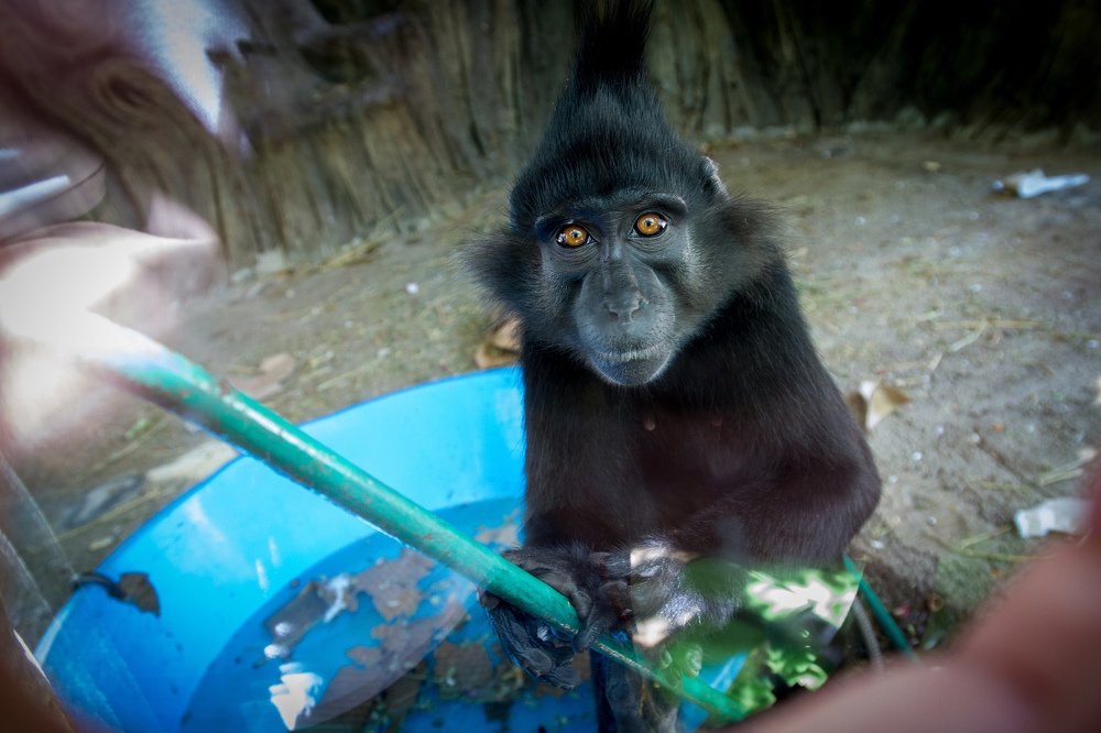 Photograph by Евгений Безбородов