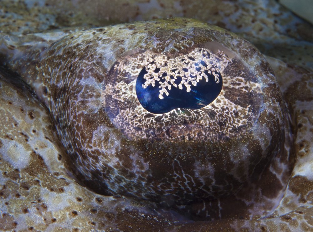 Photograph by Юрий Перевозников