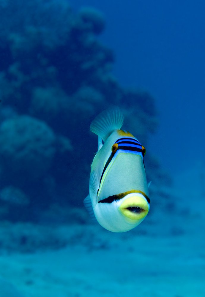 Photograph by Юрий Перевозников