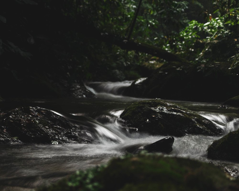 Фотография автора Andre Barbosa