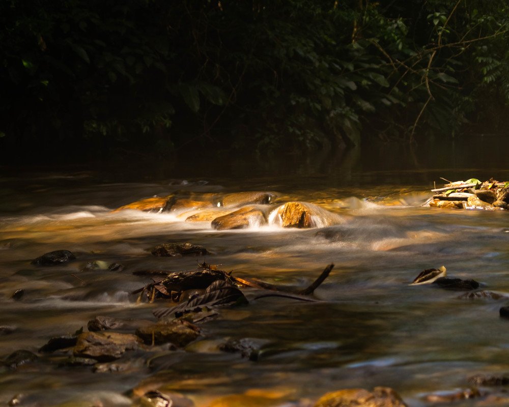 Фотография автора Andre Barbosa