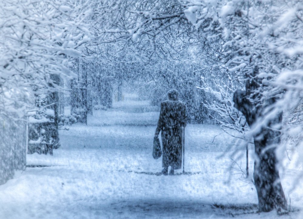 Photograph by Алексей Кроль