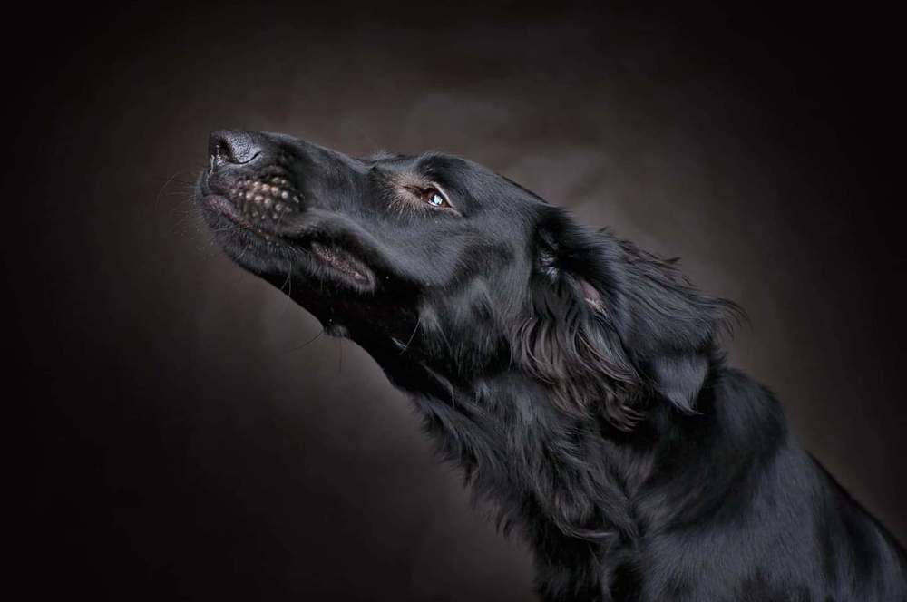 Photograph by Petra Ulrychová