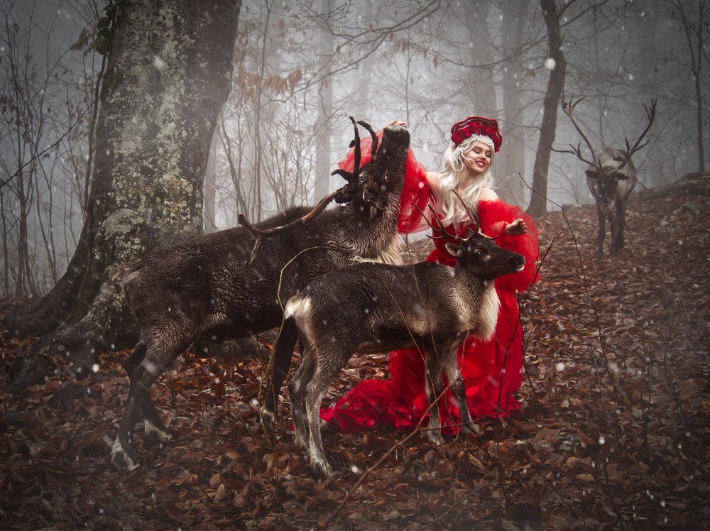 Photograph by AlVi Studio