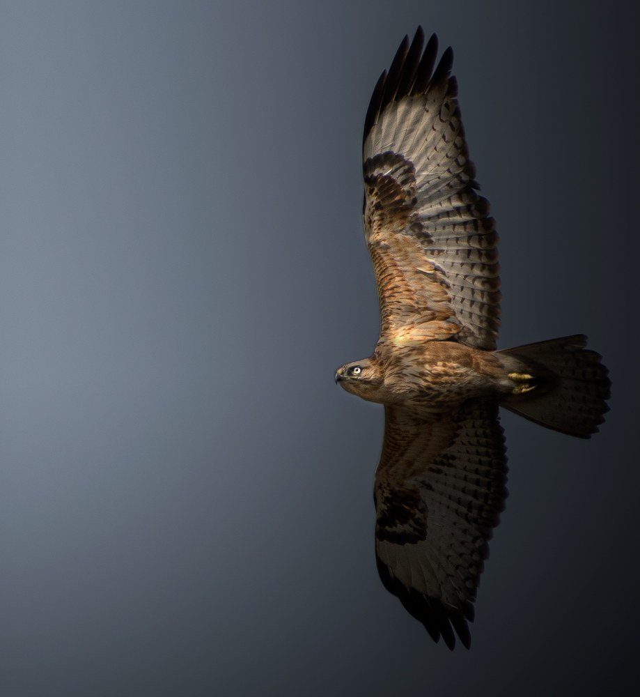 Photograph by Debarshee Mukherjee