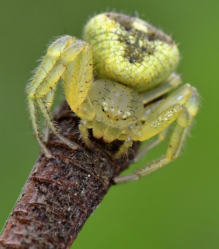 Photograph by Moura Denis