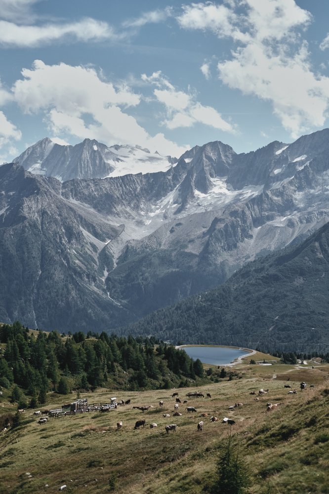 A view of Presena Glacier