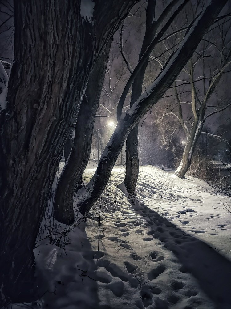 Photograph by Ирина Коновалова