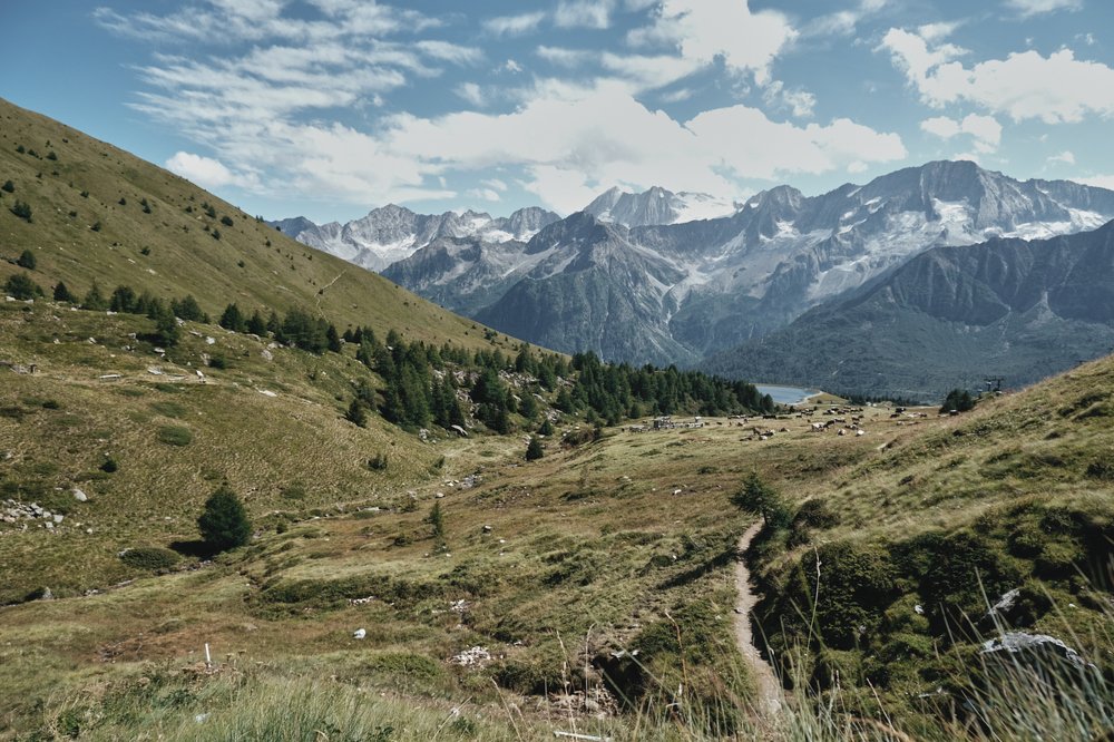 A view of Presena Glacier