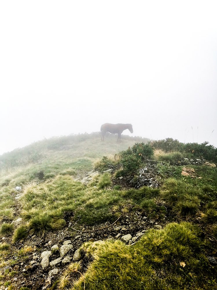 Photograph by Никита Турунов