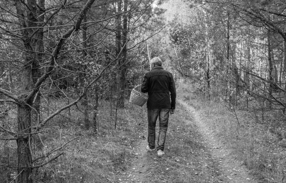 Photograph by Александр Халимов