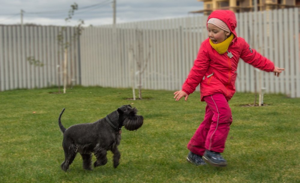 Photograph by Александр Халимов