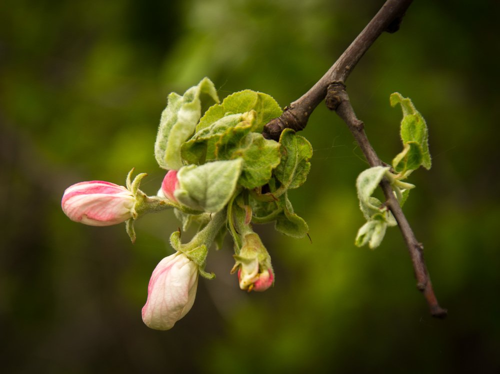 Photograph by Александр Халимов