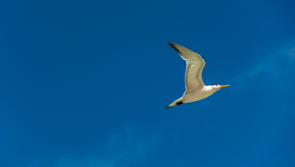 Photograph by Александр Халимов