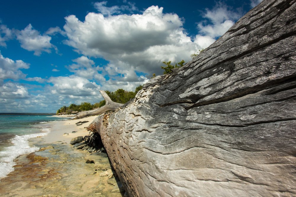 Photograph by Александр Халимов