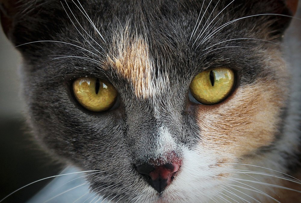 Photograph by Fernando izaguirre