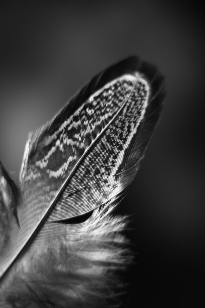 Photograph by Milla Luca