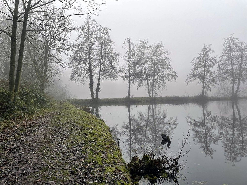 Photograph by Марина Дикманн