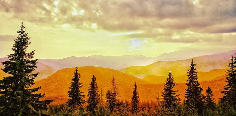 Photograph by Alexandru Dascalu