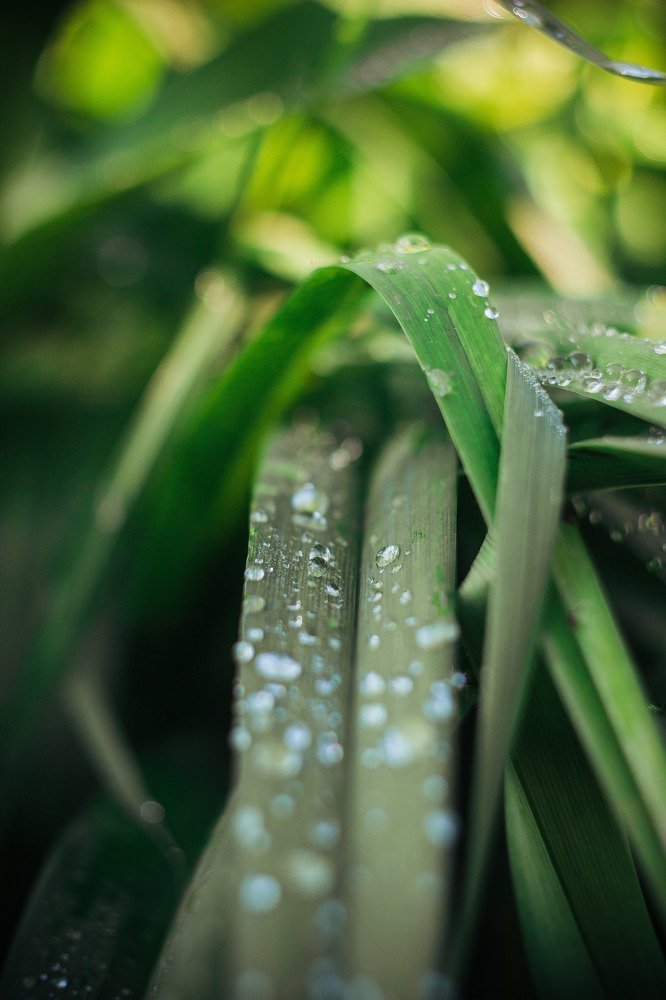 Photograph by Анна Григорьева