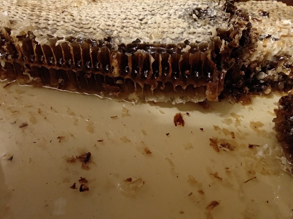 Photograph by Марина Мишина