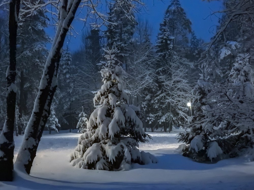 Photograph by Диана Бородзе