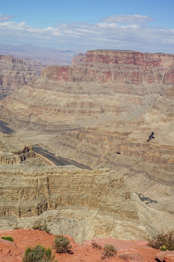 Photograph by Karina Elena Bergagna