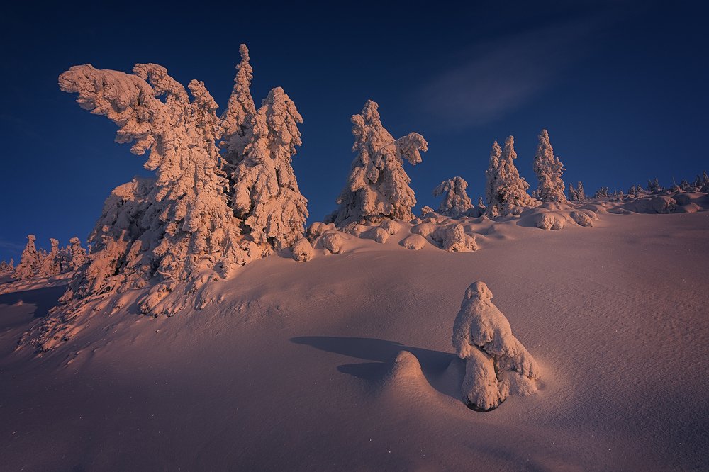 Фотография автора Martin Morávek