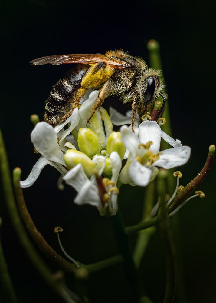 Photograph by Alexander Plaksin