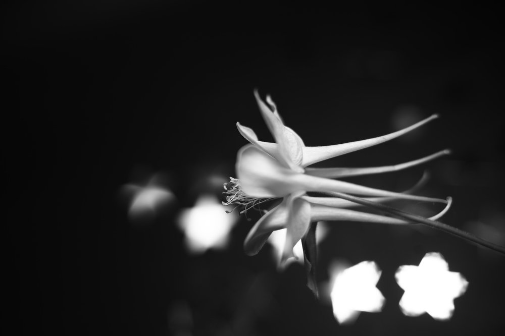 Photograph by Milla Luca