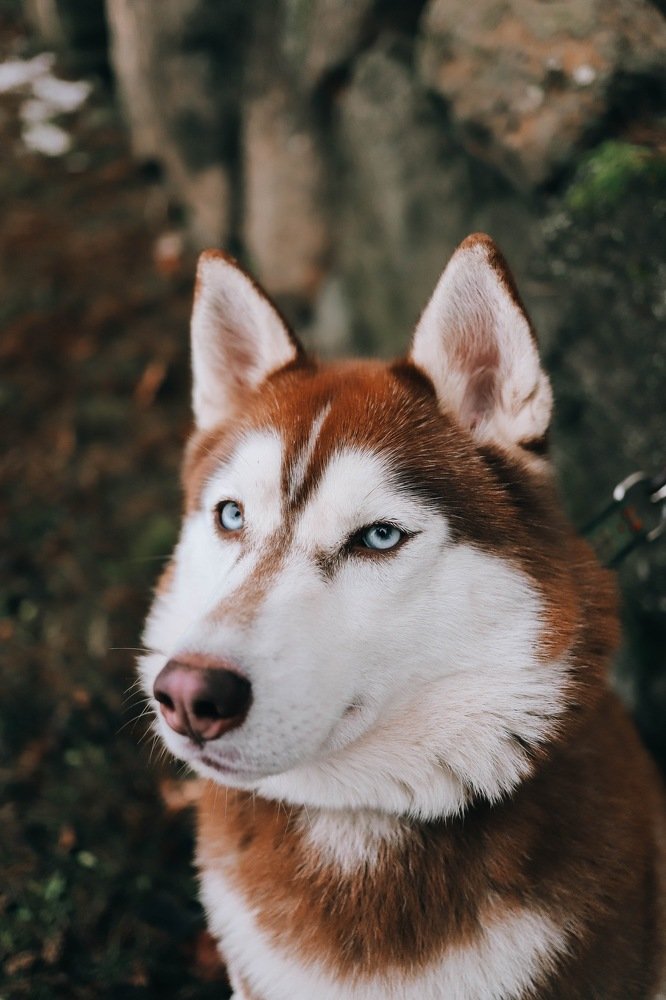 Photograph by Анна Григорьева