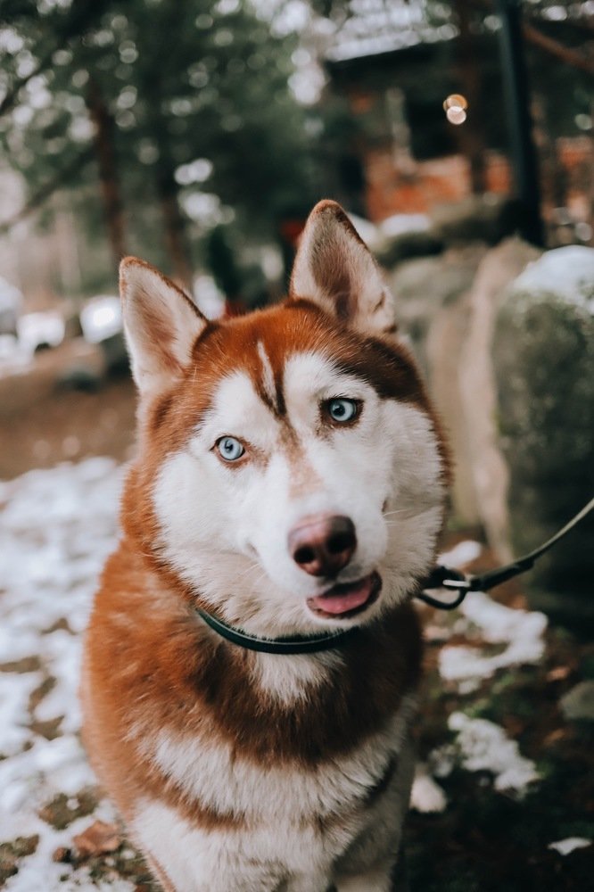 Photograph by Анна Григорьева