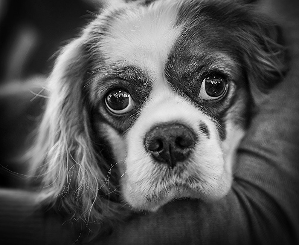 Photograph by Олег Семёнов