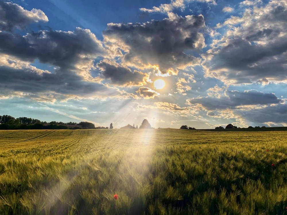 Photograph by Swetlana Lebedev