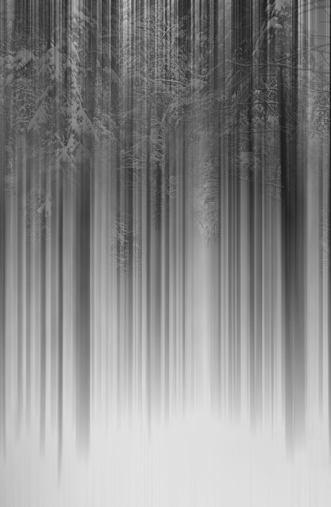 Photograph by Ксения Максименко