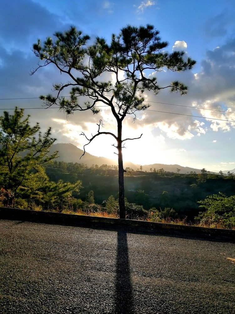Algo inesperado en la pandemia.